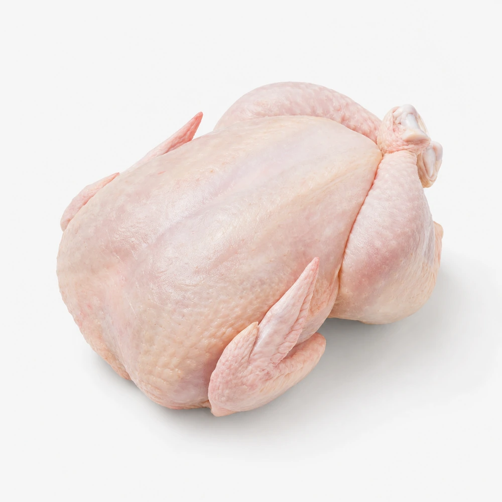 Pollo entero fresco